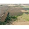 Image 20 : 160 +/- Acres of Kingman Co, KS Farmstead and Farm Land