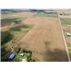 Image 21 : 160 +/- Acres of Kingman Co, KS Farmstead and Farm Land