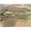 Image 23 : 160 +/- Acres of Kingman Co, KS Farmstead and Farm Land