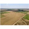 Image 25 : 160 +/- Acres of Kingman Co, KS Farmstead and Farm Land