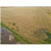 Image 12 : 160 +/- Acres of Harper Co, KS Dryland, Waterfowl and Deer Hunting Land