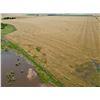 Image 13 : 160 +/- Acres of Harper Co, KS Dryland, Waterfowl and Deer Hunting Land