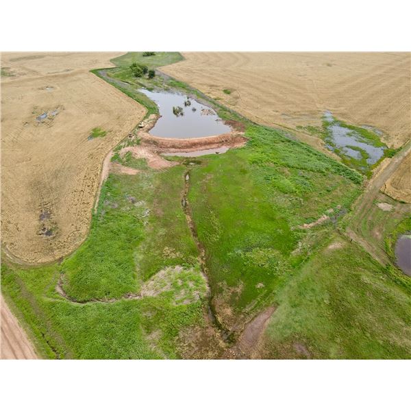 160 +/- Acres of Harper Co, KS Dryland, Waterfowl and Deer Hunting Land