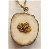 Image 2 : Horn Slice Gold Nugget Necklace