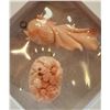 Image 2 : Carved Angel Skin Coral Pendants