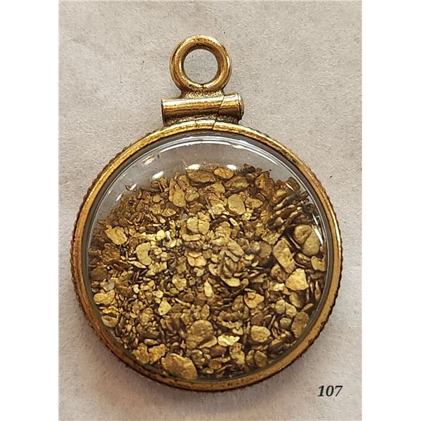 Placer Gold Nugget Encased Charm