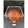 Image 3 : Autographed Spalding Basketball By Steve Nash In Acrylic Case
