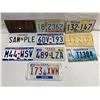10 Assorted American License Plates