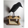 Image 1 : Folk Art Metal Bird With Wooden Base