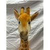 Image 2 : Vintage Steiff Giraffe, Missing Button In Ear