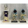 Image 4 : 9 Car Trophies