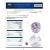 Image 7 : Unheated Pink Sapphire & Diamond Halo Ring