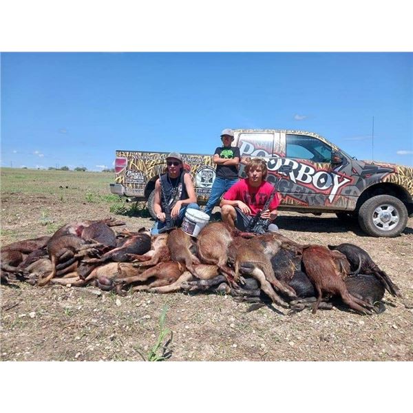 Texas Hog Hunt