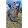 Image 2 : Rhino Dart 6 Day Hunt