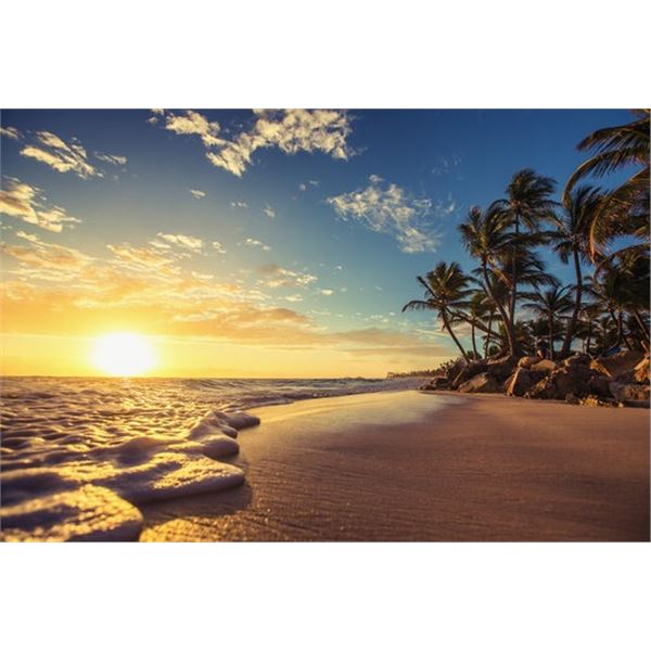 Ticket to Paradise - Pick your trip