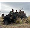 Image 2 : Argentina 5 day hunt for 2 Hunters
