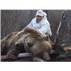 Image 1 : 5 day Yukon Grizzly Hunt