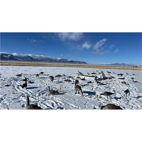 2 day Private Land Bird Hunt for 4