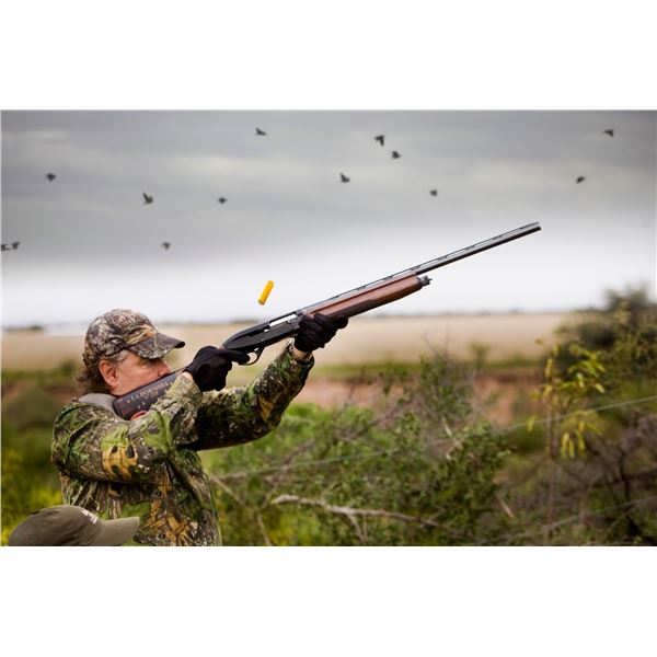 4 days/3 nights Argentina Dove Hunt for 4 hunters
