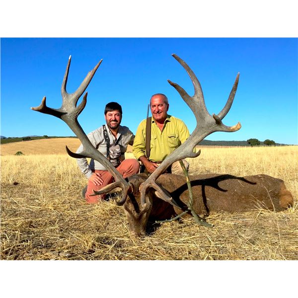 4 day Red Stag hunt in Spain for 1 hunter