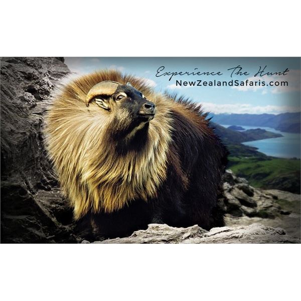 4 days/3 nights Himalayan Bull Tahr for 1 hunter and 1 observer