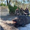 Image 4 : 4 day/3 night Gator/Hog Hunt Combo for 1 hunter and 1 non hunter