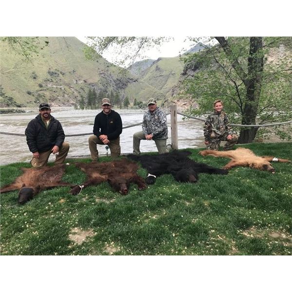 5 days/6 nights Idaho Black Bear Hunt for 1 hunter