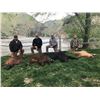 Image 1 : 5 days/6 nights Idaho Black Bear Hunt for 1 hunter