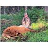 Image 2 : 5 days/6 nights Idaho Black Bear Hunt for 1 hunter