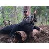 Image 3 : 5 days/6 nights Idaho Black Bear Hunt for 1 hunter