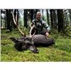 4 day Ireland Sika Deer Hunt 2 deer