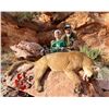 Image 2 : 5 Day Southern Utah Mountain Lion Hunt with Mossback Outfitters