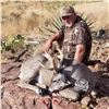 Image 4 : 5 day Arizona Coues Deer for 1 hunter