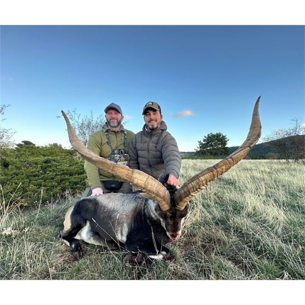 5 day/4 night accomodations for 2 hunters and 2 non hunters