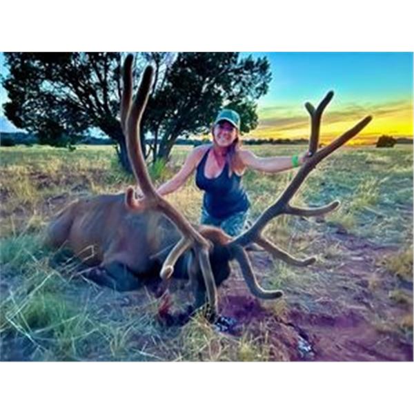 Arizona 5 day Velvet Elk Hunt with Big Chino