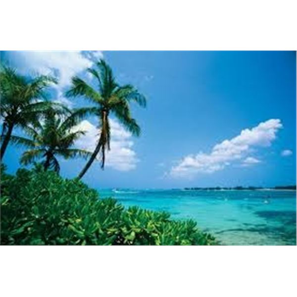 5 day/night Bahamas Trip for 4