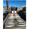 Image 5 : British Columbia 3 day/night Deep Sea Fishing Adventure