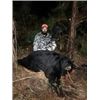 4 day 2025 Eastern NC Black Bear hunt