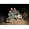 Image 2 : 10 day Limpopo NIGHT hunt