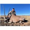 Image 2 : New Mexico Oryx Hunt