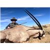 Image 3 : New Mexico Oryx Hunt