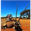 Image 2 : 10 day African hunt for 4 hunters