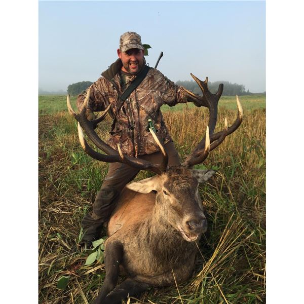 4 day Ireland Red Deer/Sika/Fallow Deer Hunt