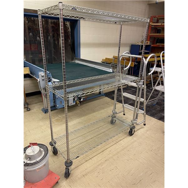 Metal Rolling Rack w/ Attached Aluminum Step Ladder (63 x 20 x 68