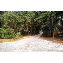 113 McCall Road, Hawthorne