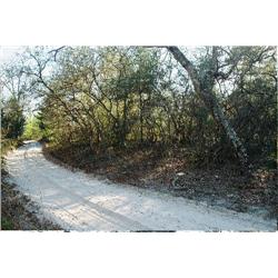 Dumbarton Ave, Welaka