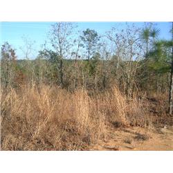 Cypress Tr, Interlachen