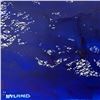 Image 2 : Untitled by Wyland Original