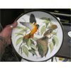 Image 2 : 5 BIRD COLLECTOR PLATES