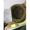Image 2 : KUMIAI BASKET (BAJA, CALIF.)